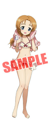 画像ギャラリー No.013のサムネイル画像 / 「ガルパン 戦車道大作戦！」，AnimeJapan 2017投票の新デザインが登場