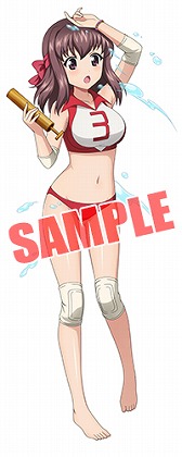 ���������꡼ No.010�Υ���ͥ������ / �֥����륺���ѥ�ĥ��� ���ƻ�����ס���ɱ�������������뤬����Ѥ��о�