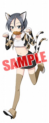 ꡼ No.013Υͥ / ֥륺ѥĥ ƻ2018ǯϥ󥬥2Ƥ򳫺