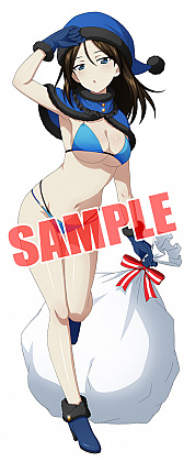 ���������꡼ No.005�Υ���ͥ������ / �֥����륺&�ѥ�ĥ��� ���ƻ�����!�פ˥��ꥹ�ޥ����������̤��о�