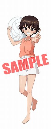 ���������꡼ No.009�Υ���ͥ������ / �֥����륺���ѥ�ĥ��� ���ƻ�����ס��ե�ƻ�����������о�