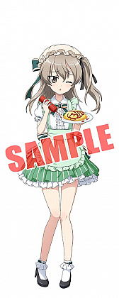 ꡼ No.008 | ֥륺ѥĥ ƻסʸװߤۤİΤо