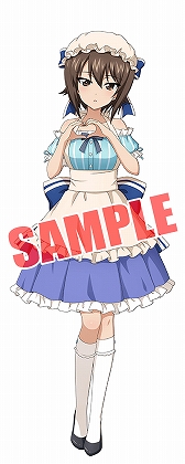 ꡼ No.008 | ֥륺ѥĥ ƻסʸװΥĥʤɤо