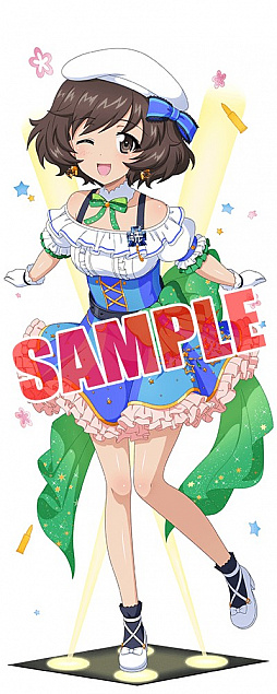 ���������꡼ No.010�Υ���ͥ������ / �֥����륺���ѥ�ĥ��� ���ƻ�����ס�5��ǯ��ǰ���������̤��о�