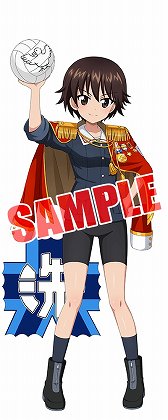 ���������꡼ No.007�Υ���ͥ������ / �֥����륺���ѥ�ĥ��� ���ƻ�����ס��ǽ��� ��3�ø�����ǰ�����㤬�о�