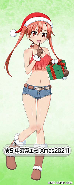 ���������꡼ No.005�Υ���ͥ������ / �֥����륺���ѥ�ĥ��� ���ƻ�����ס����ꥹ�ޥ�����������2���о�