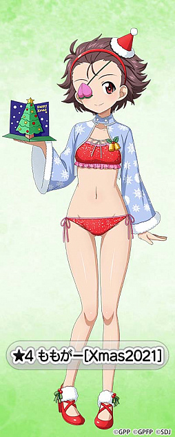 ���������꡼ No.007�Υ���ͥ������ / �֥����륺���ѥ�ĥ��� ���ƻ�����ס����ꥹ�ޥ�����������2���о�