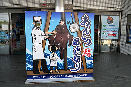 ꡼ No.026 | դޤĤ ڥե2024ץݡȡ˥֥륺ѥĥפϤΥե󤬽