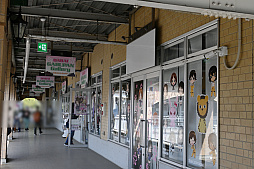 ꡼ No.050 | դޤĤ ڥե2024ץݡȡ˥֥륺ѥĥפϤΥե󤬽