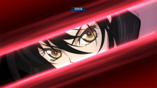 ���������꡼ No.019�Υ���ͥ������ / �֥ƥ��륺 ���� �٥륻�ꥢ�׺ǿ����󡣥٥�٥åȤ˿Ϥ�����륪�������ȥƥ쥵�Υץ��ե�������������ס���Ĺ�����ƥब����