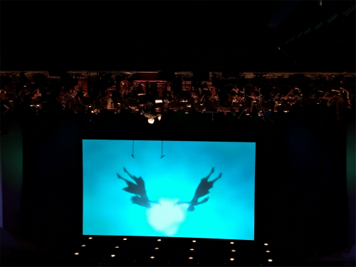 ꡼ No.007Υͥ / ֥ƥ륺  ȥ饳󥵡 25th Anniversaryץݡȡեˤդ奿ȥδưɤ