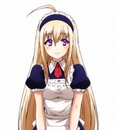 ꡼ No.012 | ֥˥ȥץ饹 ֥饹סץ쥤֥륭Ȥо줹륢ʤۤѡȥʡ3̾λ郎餫