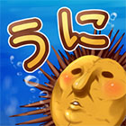 �ѥå�����