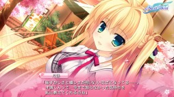 ���������꡼ No.008�Υ���ͥ������ / �ر�����ADV��ALIA��s CARNIVAL�ץ��ޥ۸������ۿ���������