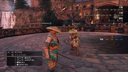 ���������꡼ No.005�Υ���ͥ������ / �֥ե������ʡ��ס������ʥȥ졼�˥󥰥⡼�ɤ����������Ƥ���⤹��ȥ쥤�顼�θ�����