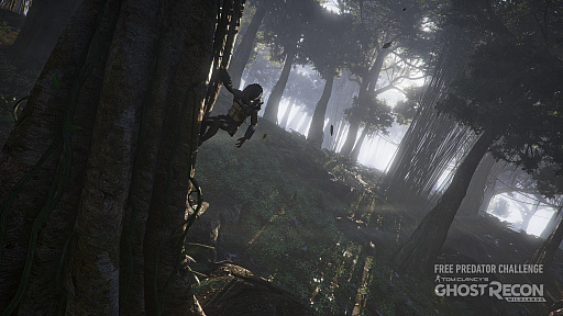 ꡼ No.003Υͥ / ֥ȥꥳ 磻ɥ󥺡פǡǲ֥ץǥפȥåפ⥤٥ȳ