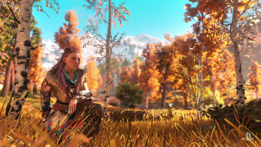 ���������꡼ No.011�Υ���ͥ������ / ��Horizon Zero Dawn�פϥ���饯�����Υ��󥻥ץȥ����Ȥ���Ϥޤä�����ȯ�Ԥ�����ˡ�������������Ȥ�