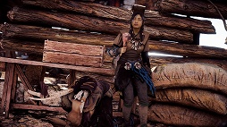 ꡼ No.113 | ޥˤHorizon Zero Dawnɴʡ¤Photo Modeǥ꡼󥷥åȻƤؤĽ