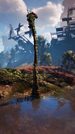 ꡼ No.105 | ޥˤHorizon Zero Dawnɴ2ơVer 1.20Ǥ˶줿Photo Mode