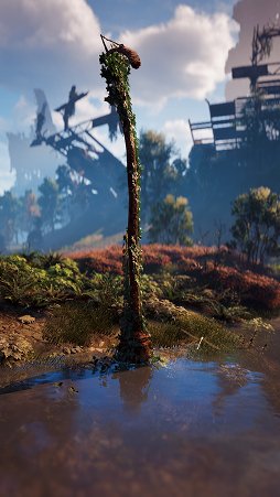 ޥˤHorizon Zero Dawnɴ2ơVer 1.20Ǥ˶줿Photo Mode