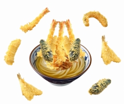 ꡼ No.006Υͥ / WORLD OF FINAL FANTASYפȯ䡣ɤˡȥΥΥɤִݵ͡פȤΥܥڡ