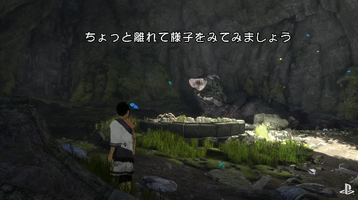 ���������꡼ No.005�Υ���ͥ������ / ȯ��ޤ�2���֤��ڤä��ֿͶ��������ɥȥꥳ�ס�8ʬ��Ķ����ܥ�塼���ͷ�����򤸤ä���Ȳ��⤷���ǿ�������������