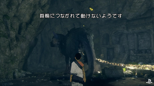 ���������꡼ No.007�Υ���ͥ������ / ȯ��ޤ�2���֤��ڤä��ֿͶ��������ɥȥꥳ�ס�8ʬ��Ķ����ܥ�塼���ͷ�����򤸤ä���Ȳ��⤷���ǿ�������������