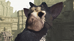 ꡼ No.003 | ȥꥳˡȤɡThe Last Guardian VRפϾǯǥȥꥳβİפι⤵ǽǤ
