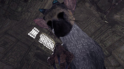 ꡼ No.005 | ȥꥳˡȤɡThe Last Guardian VRפϾǯǥȥꥳβİפι⤵ǽǤ