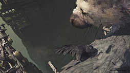 ꡼ No.010 | ȥꥳˡȤɡThe Last Guardian VRפϾǯǥȥꥳβİפι⤵ǽǤ