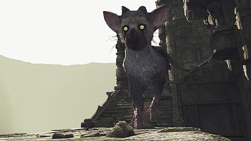 ꡼ No.012 | ȥꥳˡȤɡThe Last Guardian VRפϾǯǥȥꥳβİפι⤵ǽǤ