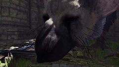 ꡼ No.011 | PS VR̵ǥֿͶɥȥꥳ VR Demoפ1214ۿϡǤΡֿͶɥȥꥳ Best HitsפƱȯ