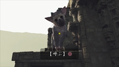 ꡼ No.014 | PS VR̵ǥֿͶɥȥꥳ VR Demoפ1214ۿϡǤΡֿͶɥȥꥳ Best HitsפƱȯ