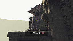 ꡼ No.006 | ֿͶɥȥꥳפδǤPS VRֿͶɥȥꥳ VR Demoפ̵ۿȡԤβʲǤȯ