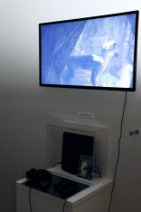 ���������꡼ No.010�Υ���ͥ������ / ������Ρ���21�� ʸ��ģ��ǥ����ݽѺ׺���Ÿ�ײ��ǡ����󥿡��ƥ�������������ޤ���ޤ����ֿͶ��������ɥȥꥳ�פξ���ʸ�ͻ�˴��ۤ�ʹ����