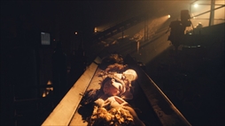 ꡼ No.002Υͥ / NieRAutomataפTVCM15äû֤ʤܺζʪᤷѤɽ