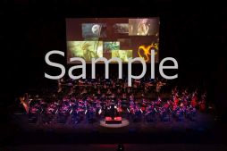 画像ギャラリー No.003のサムネイル画像 / 映像商品「NieR:Theatrical Orchestra 12020」が10月28日に発売決定。ニーアシリーズ10周年記念の無観客コンサートを収録