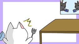 ꡼ No.007 | ͤ򽸤ƿǭ˽в񤪤ޥ۸˥󥰥֤ϤäƥͥפҲ𤹤֡ʤۤܡޥۥ̿866