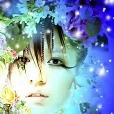 ���������꡼ No.041�Υ���ͥ������ / �֥��ե����Υ��ȥꥨ ���Ի׵Ĥ��ܤ�ϣ��ѻΡ��פ�Ĵ�祷���ƥब�������ܺ�Ǥϡȸ�����ɤΤ��ݥ���Ȥ�