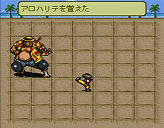 ꡼ No.010 | ȯ20ǯޤ˥ХRPG֥饤֡饤֡פWii UС륳󥽡ۿ