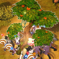 ꡼ No.022Υͥ / Ar:pieLפΥץ¥ƥȤȡ5饯Ѳǽǡǡӥ˰Ѥ