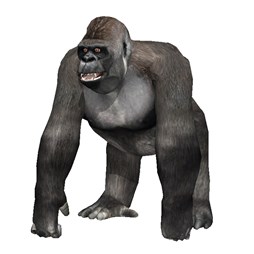 ���������꡼ No.006�Υ���ͥ������ / ��StarHorse3�פθ�����������»ܡ��֥����������졼�פȤΥ���ܤ����餫��