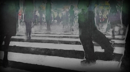 ���������꡼ No.001�Υ���ͥ������ / �֤Ϥ��ͥ��������ȥ�ס��᡼������������������ڤʤ���ᤤ���ࡼ�ӡ���������