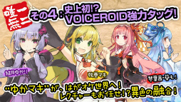 ꡼ No.006 | ӥǤߤ֤Ϥͥȥפλѡ1Ԥ䥢ᥫǽʤɤοǡβ⤢碌ƾҲ