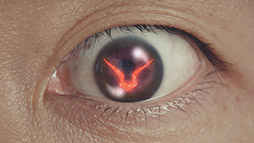 ���������꡼ No.001�Υ���ͥ������ / �֥ǥ쥹�ơפȡ֥����ɥ������ץ��꡼���Υ���ܤ������������ȡ����С��ʡ�COLORS�ס֥⥶����������פ����̤ʥ롼�ॢ���ƥब�о�