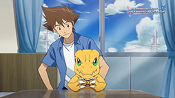 ���������꡼ No.003�Υ���ͥ������ / �֥ǥ쥹�ơפ��ǲ�֥ǥ���󥢥ɥ٥���㡼 LAST EVOLUTION 嫡פȥ���ܡ������ɥ뤬���С�������Butter-Fly�ס�I wish�פ򥲡�����ǳڤ����