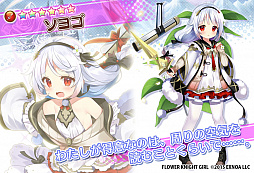 ꡼ No.005 | FLOWER KNIGHT GIRLפǿ٥ȡ㴤β֤Фɤ