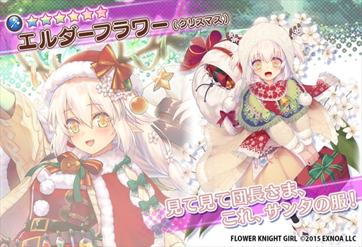 画像ギャラリー No.004のサムネイル画像 / 「FLOWER KNIGHT GIRL」,クリスマスイベント「想いは聖なる樹の下で」を開催。新キャラクターの登場も