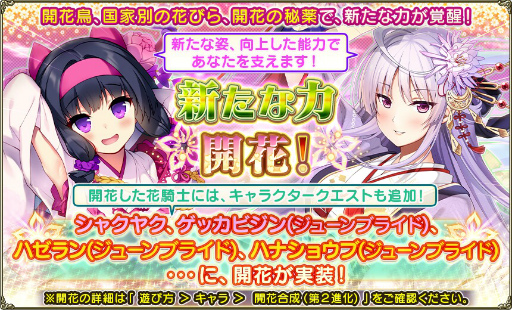 ꡼ No.008 | FLOWER KNIGHT GIRLס٥ȡȥ˥塼䡼ࡪɳ