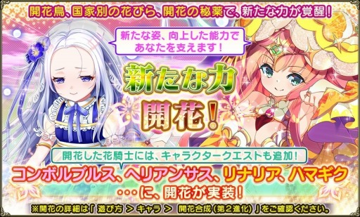 ꡼ No.009 | FLOWER KNIGHT GIRLסɱƥ3ܥ٥Ȥ